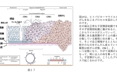 別府先生スライド資料文字起こし付最終版-18
