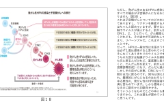 別府先生スライド資料文字起こし付最終版-19