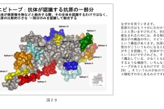 別府先生スライド資料文字起こし付最終版-30