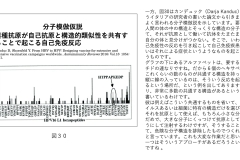別府先生スライド資料文字起こし付最終版-31
