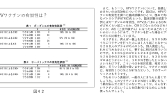 別府先生スライド資料文字起こし付最終版-43