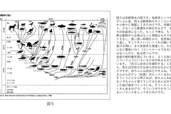 別府先生スライド資料文字起こし付最終版-6